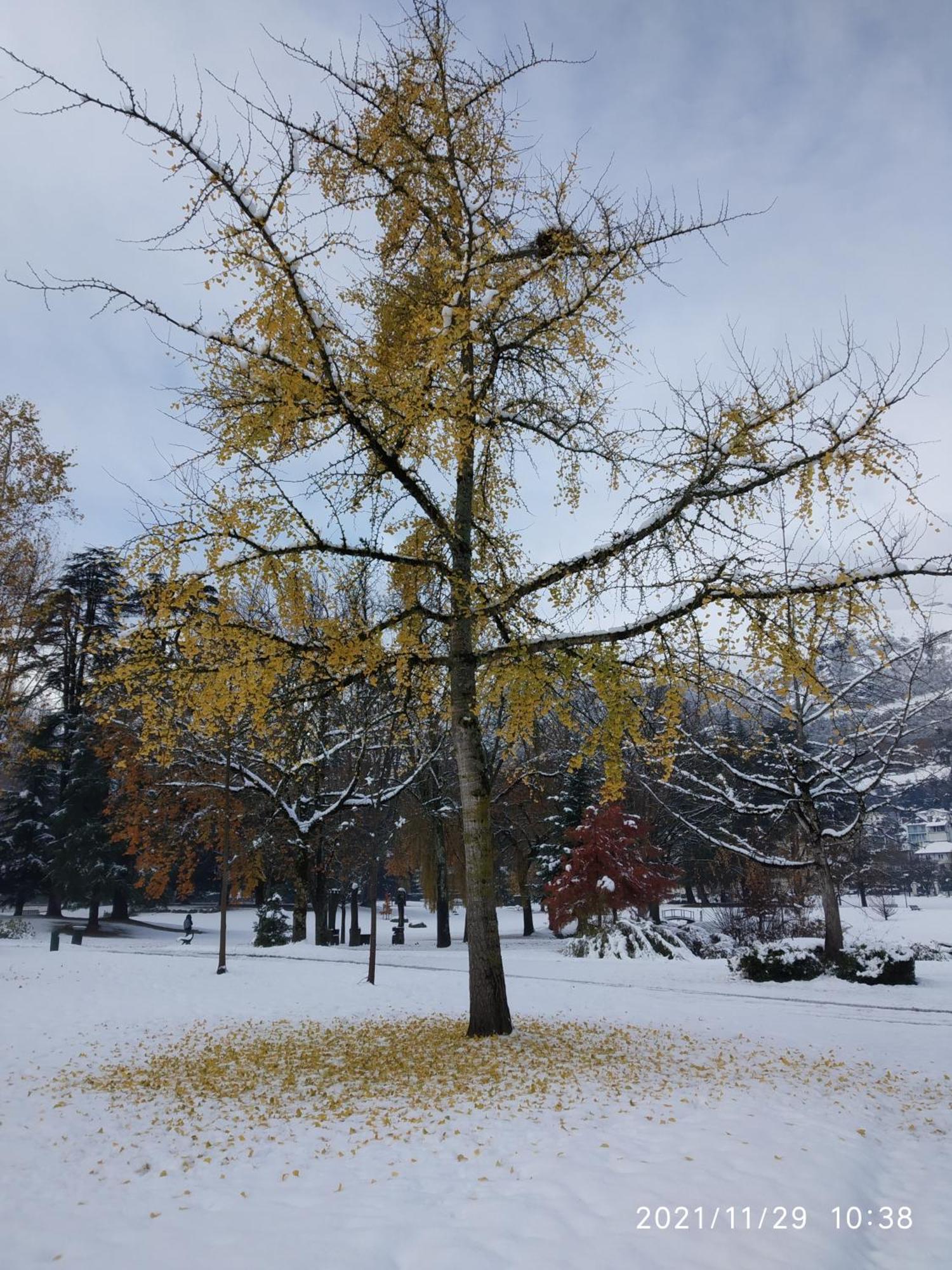 Le Balcon Du Parc, Entre Lourdes Et Gavarnie Argeles-Gazost Ngoại thất bức ảnh
